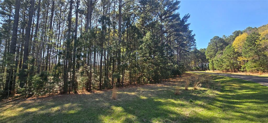 000 Watters Edge Drive Property Photo 12