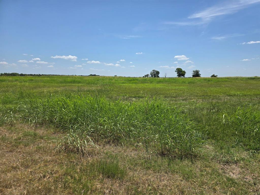 Lot 54 Meadow Circle Property Photo 4