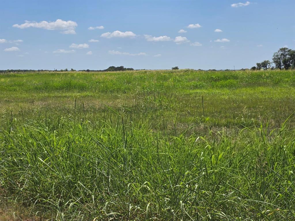 Lot 54 Meadow Circle Property Photo 19