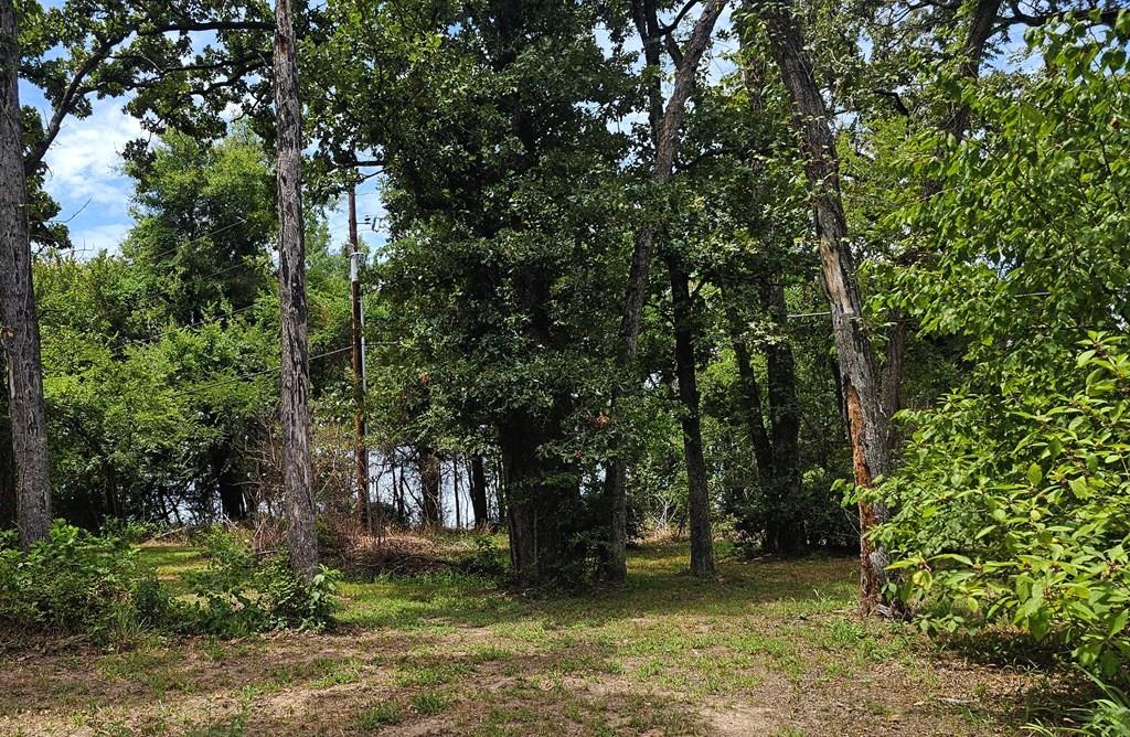120 Tarpon Property Photo 6