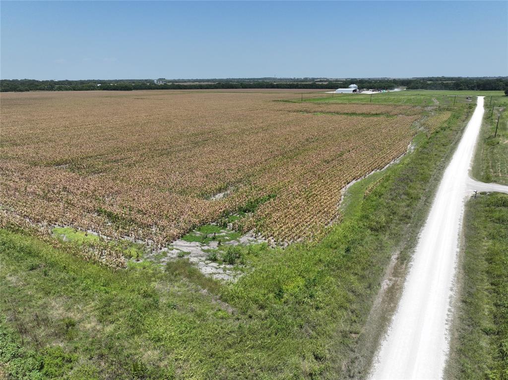 96 Acres Fm 137 Property Photo 4