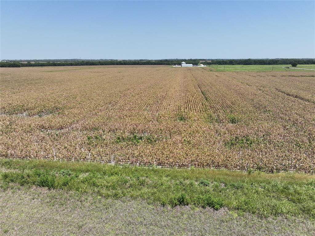96 Acres Fm 137 Property Photo 5