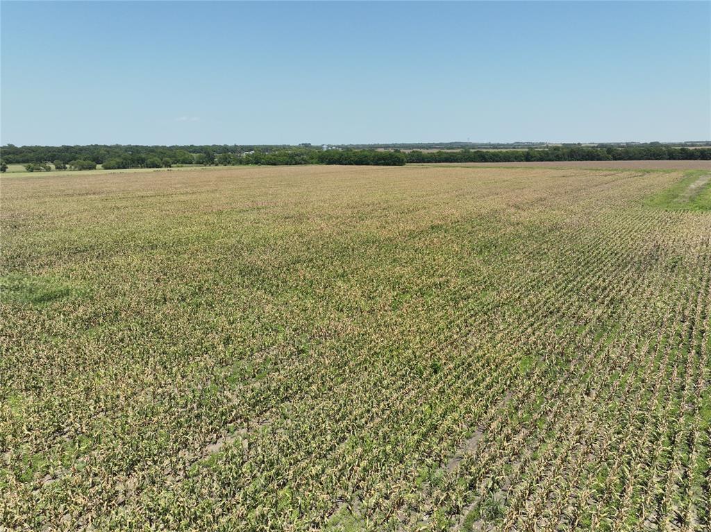 96 Acres Fm 137 Property Photo 7