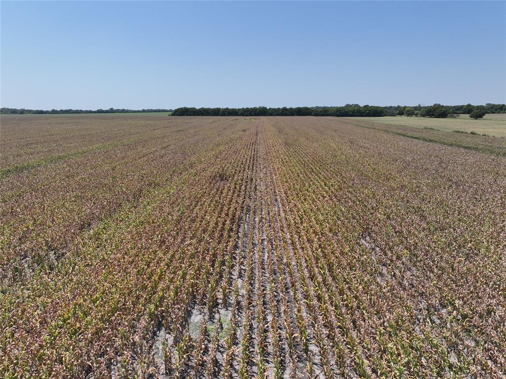 96 Acres Fm 137 Property Photo 8