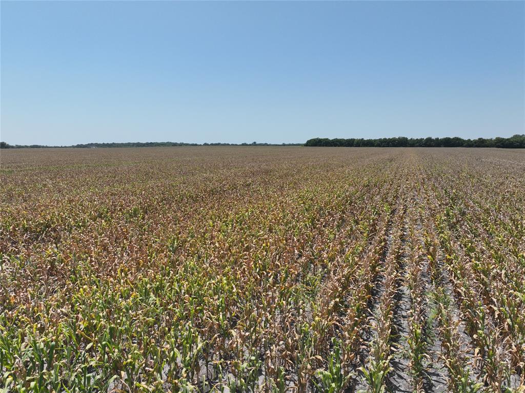 96 Acres Fm 137 Property Photo 9