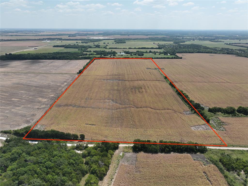 Tbd County Road 26850 Property Photo 1