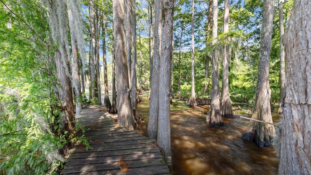 10129 Hudson Road Property Photo 21