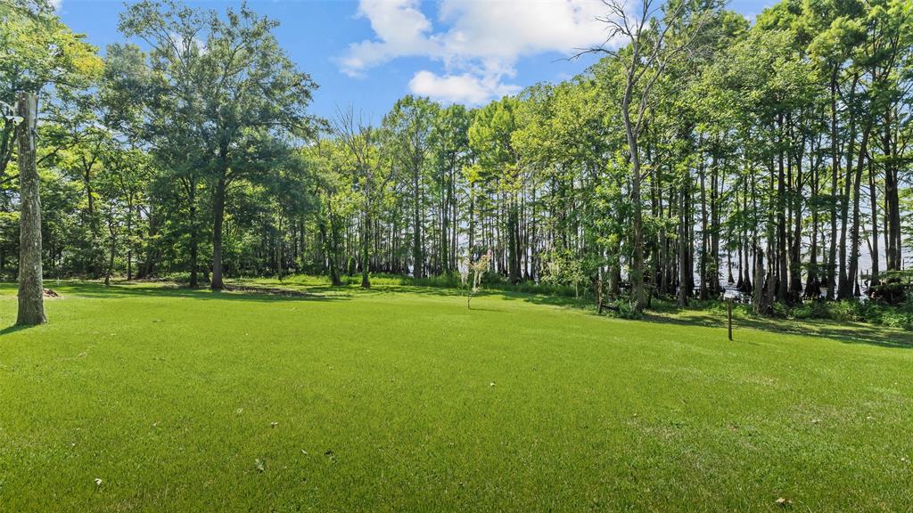 10129 Hudson Road Property Photo 22