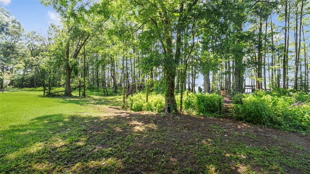10129 Hudson Road Property Photo 23