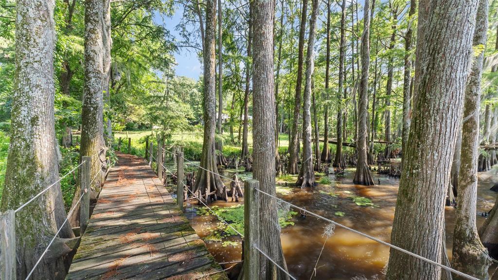 10129 Hudson Road Property Photo 25