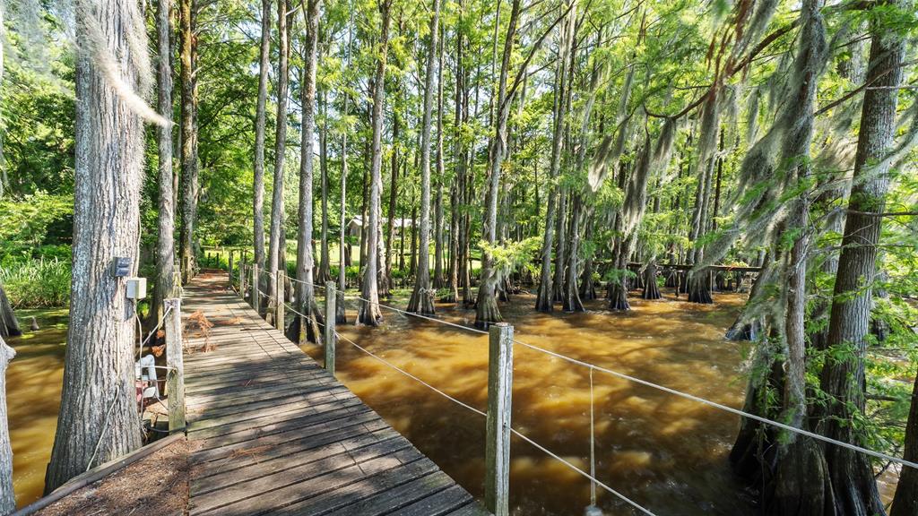 10129 Hudson Road Property Photo 28
