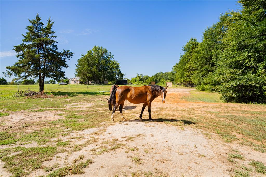 7635 N Us Highway 271 Highway Property Photo 38