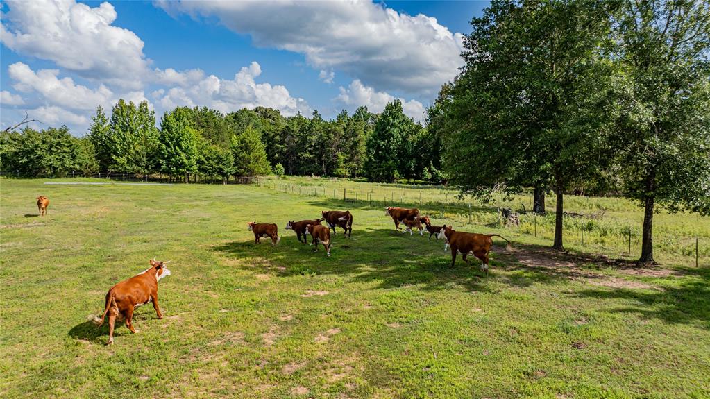 7635 N Us Highway 271 Highway Property Photo 39