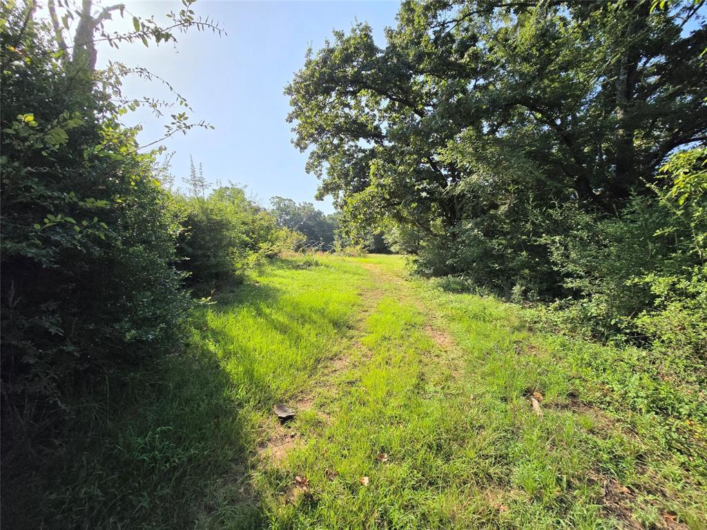 570 An County Road 2419 Property Photo 20