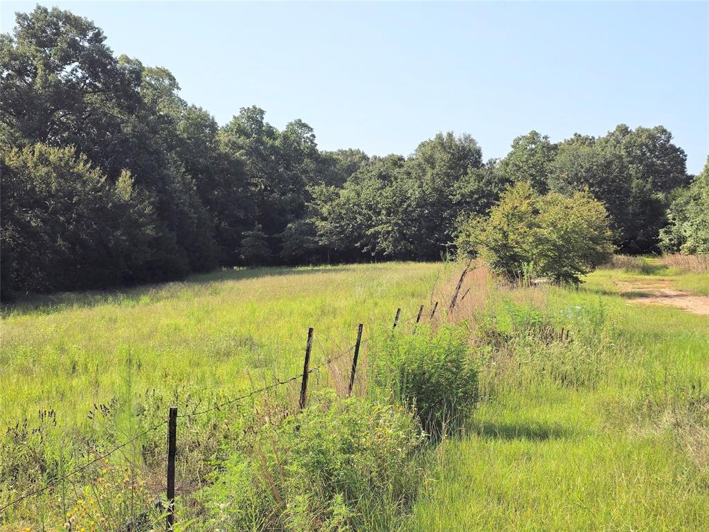570 An County Road 2419 Property Photo 23