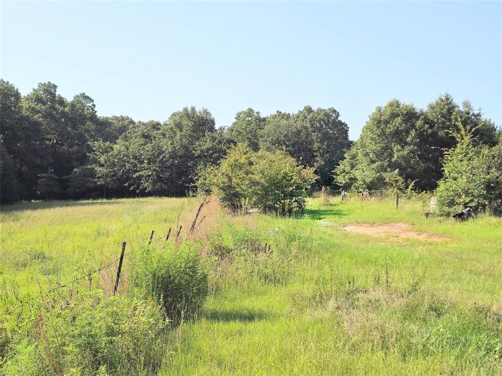 570 An County Road 2419 Property Photo 24
