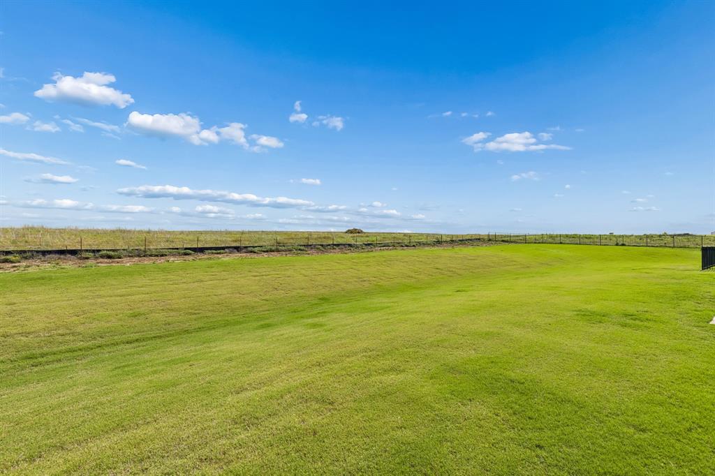 12311 Bella Cirro Drive Property Photo 40