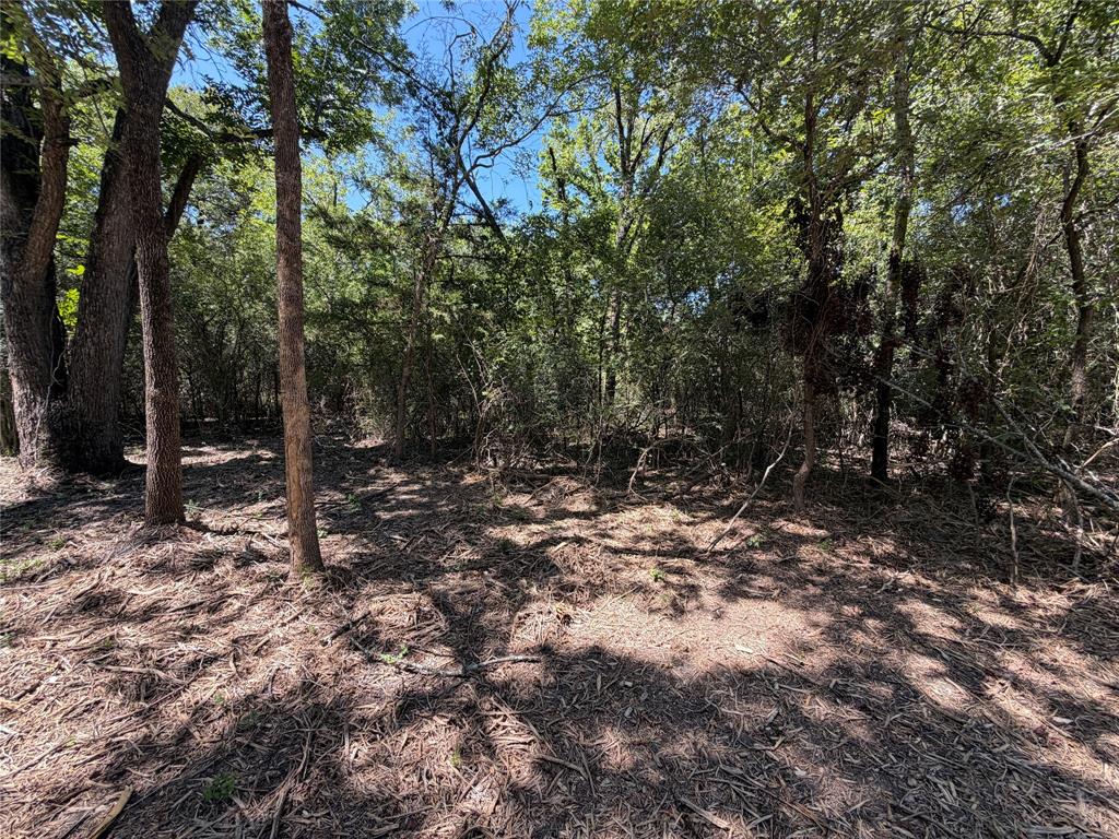 Tbd39ac Sw Co Rd 2340 Property Photo 5