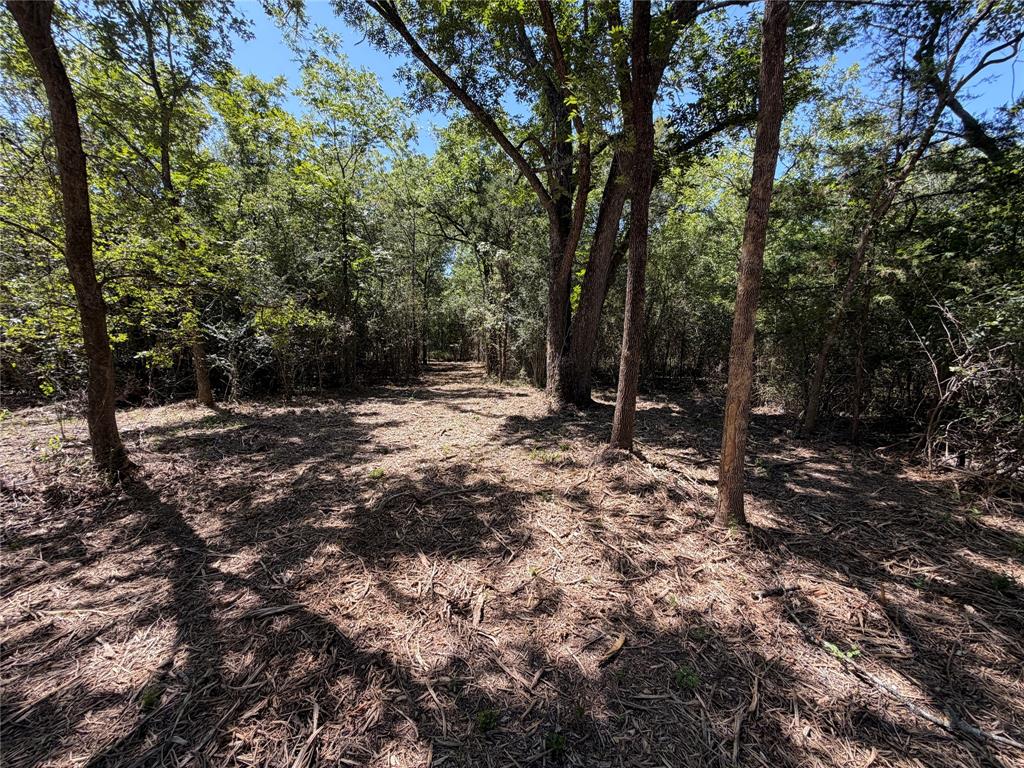 Tbd39ac Sw Co Rd 2340 Property Photo 6