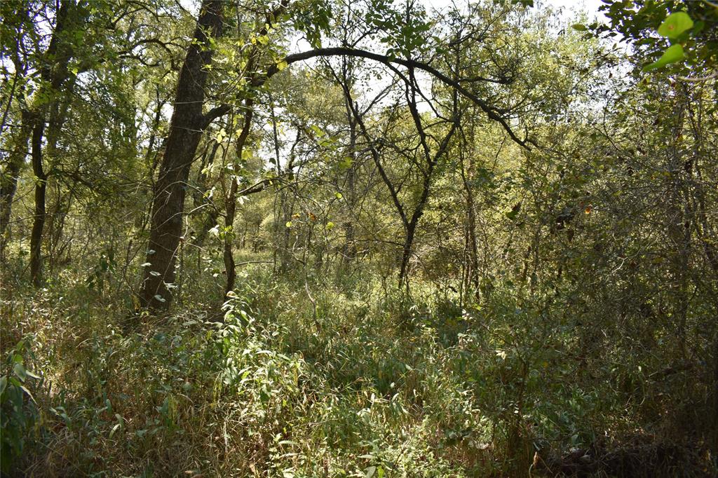 Tbd39ac Sw Co Rd 2340 Property Photo 10