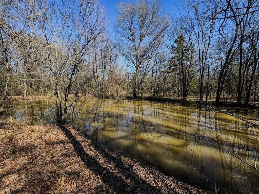 6966 Cr 3512 Property Photo 5