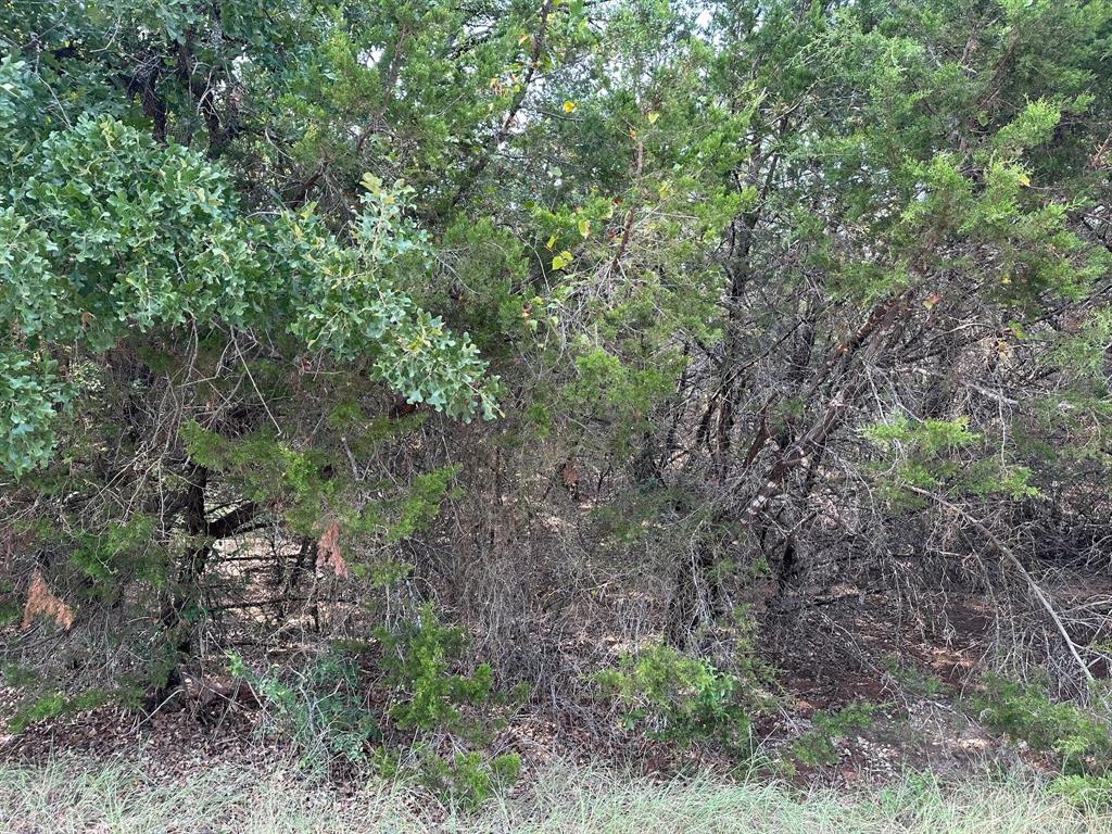 18034 & 18035 & 18036 S Southhill Drive Property Photo 2