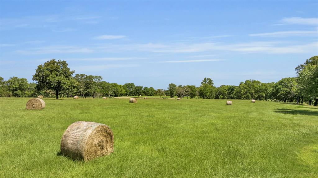 365 County Road 1534 Property Photo 5