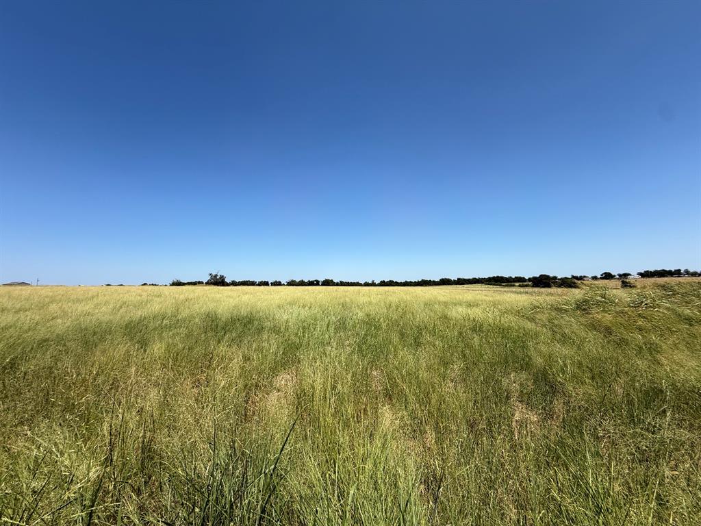 3101 Fm-217 Property Photo 13