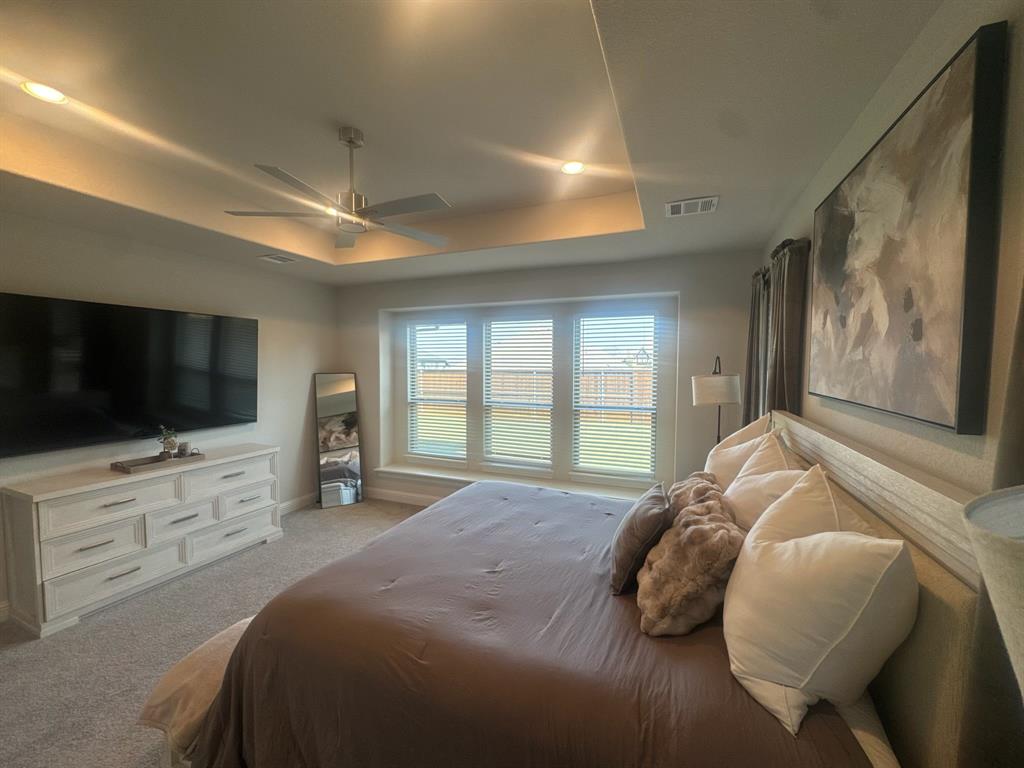 1603 Banded Ledge Drive Property Photo 12