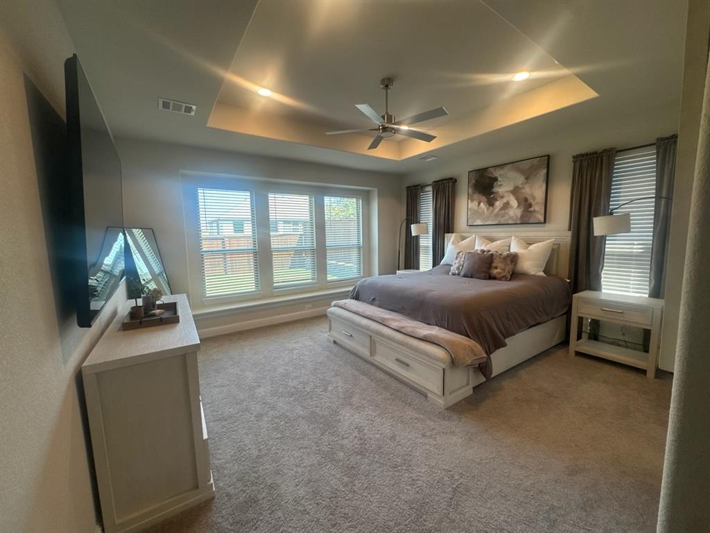 1603 Banded Ledge Drive Property Photo 13