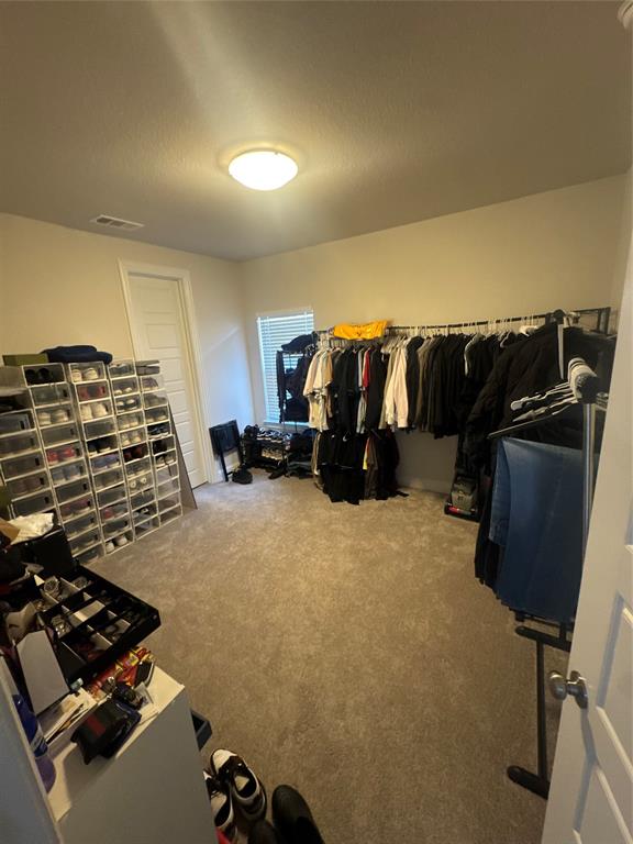 1603 Banded Ledge Drive Property Photo 21