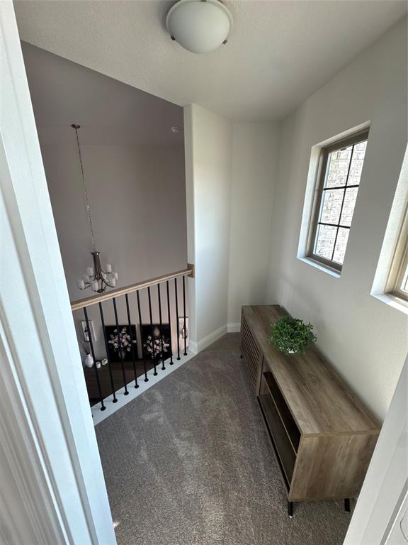 1603 Banded Ledge Drive Property Photo 23