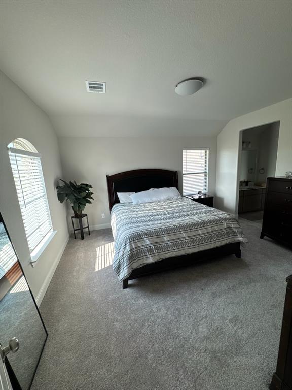 1603 Banded Ledge Drive Property Photo 24