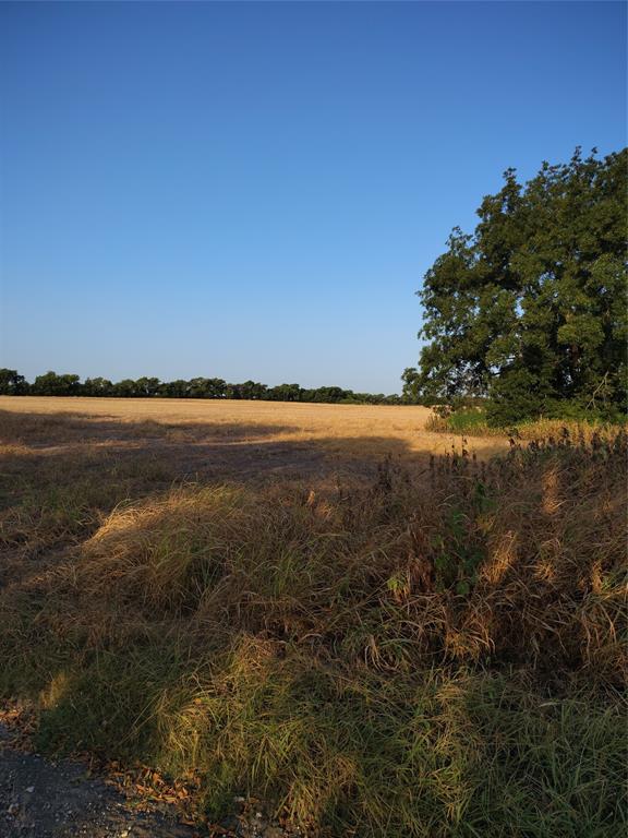461 County Road 309 Property Photo 8