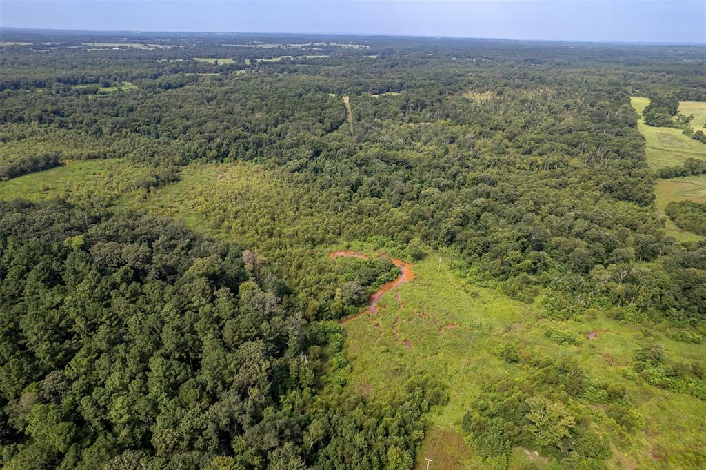 Tbd County Road 2115 Property Photo 21