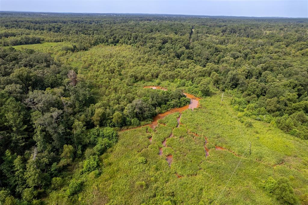 Tbd County Road 2115 Property Photo 22