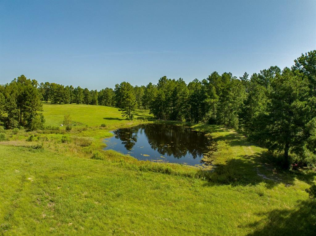 224 James King Road Property Photo 35