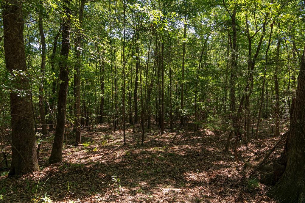 00 Tom Eubanks Rd Property Photo 4