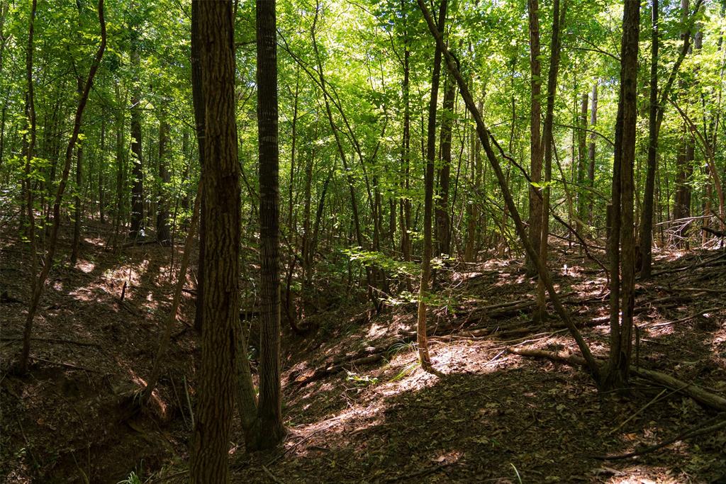 00 Tom Eubanks Rd Property Photo 10