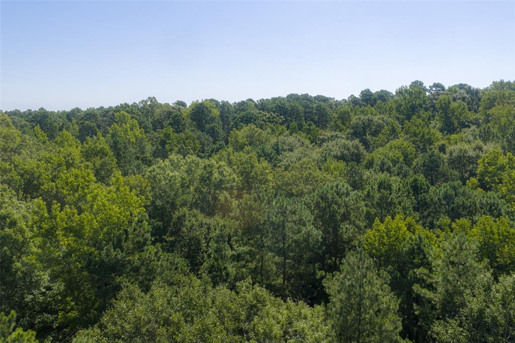 00 Tom Eubanks Rd Property Photo 12