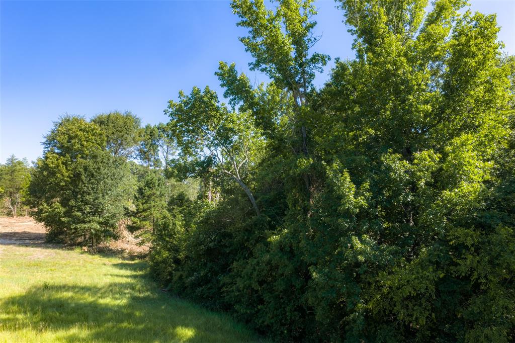 00 Tom Eubanks Rd Property Photo 13
