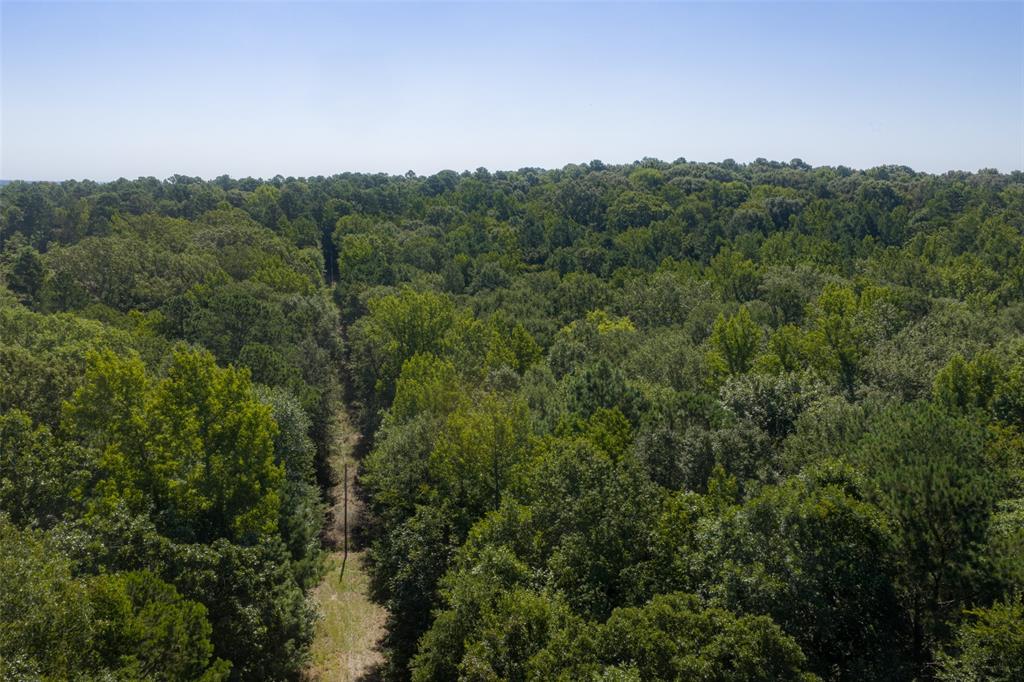 00 Tom Eubanks Rd Property Photo 19