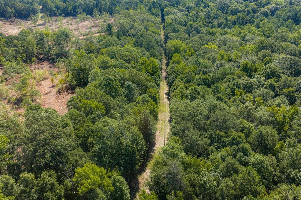00 Tom Eubanks Rd Property Photo 25