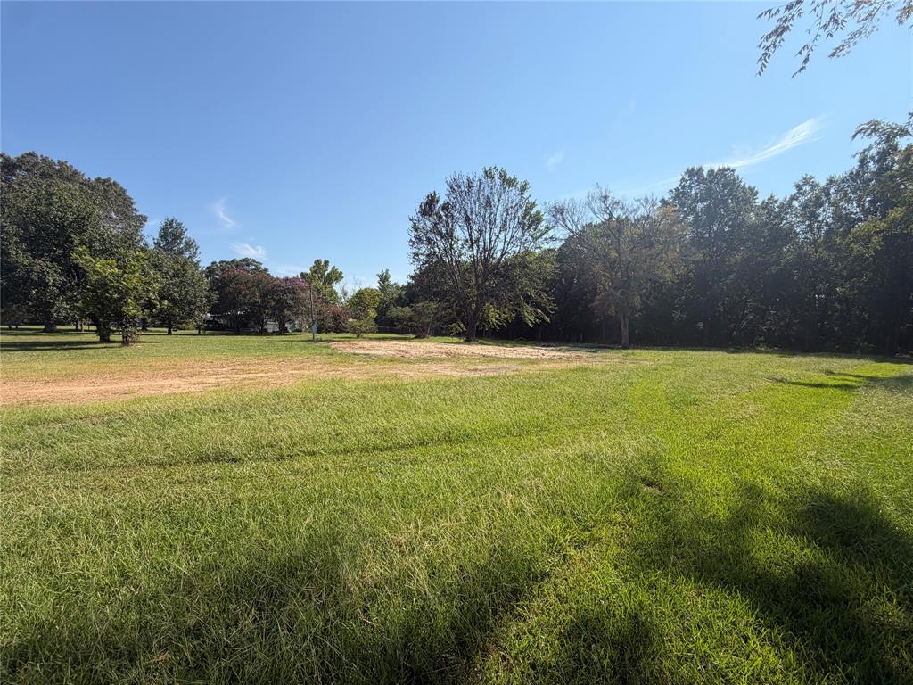 595 Fm 911 Property Photo 3