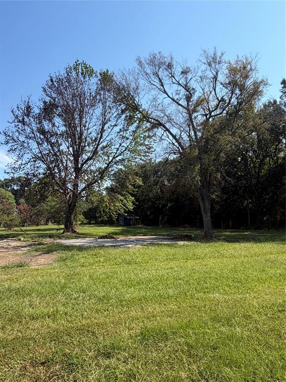 595 Fm 911 Property Photo 4