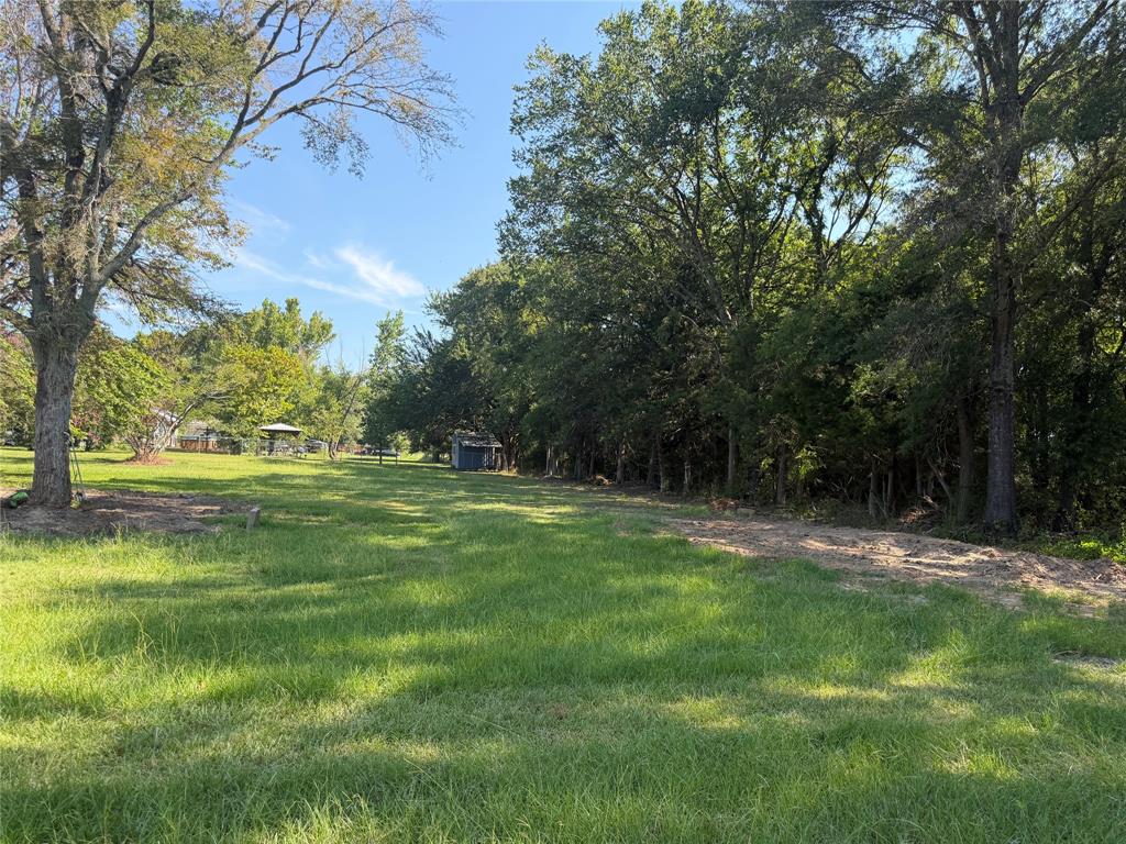 595 Fm 911 Property Photo 5