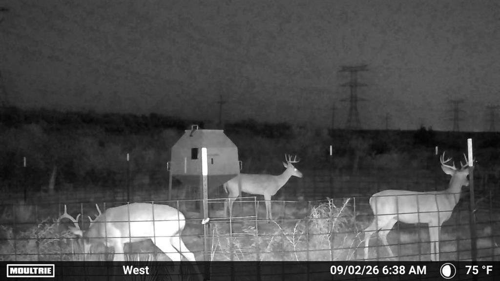 Tbd State Highway 70 Property Photo 2