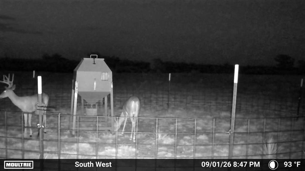 Tbd State Highway 70 Property Photo 3