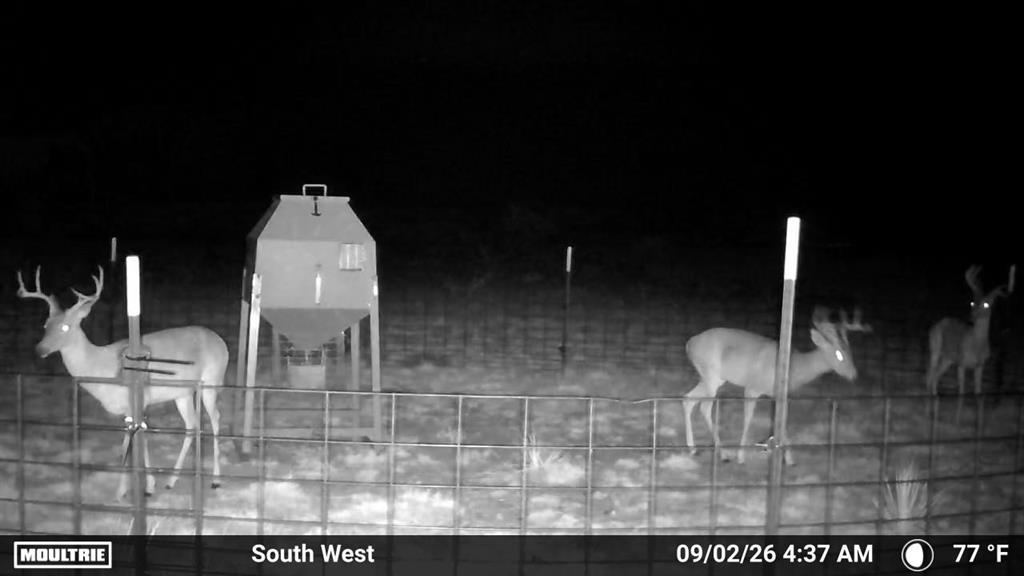 Tbd State Highway 70 Property Photo 4