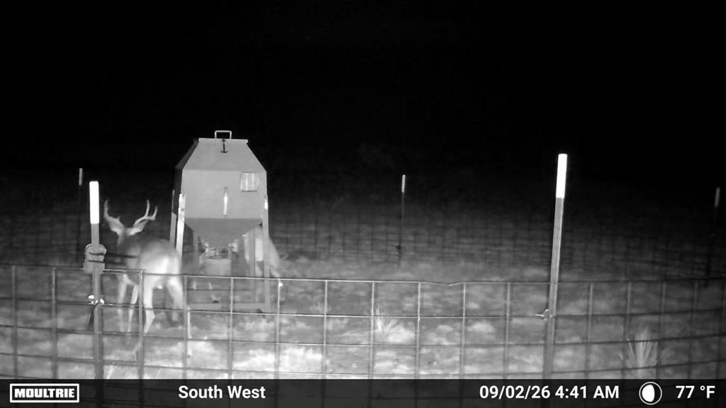 Tbd State Highway 70 Property Photo 5